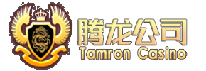 腾龙游戏公司logo